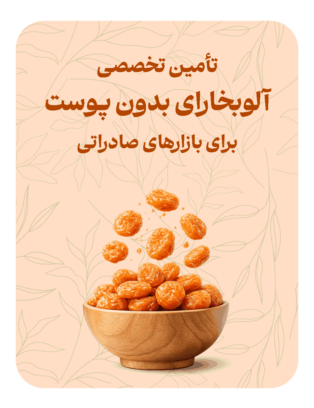 sfseh_11zon